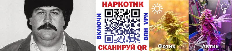  КОКАИН Магас