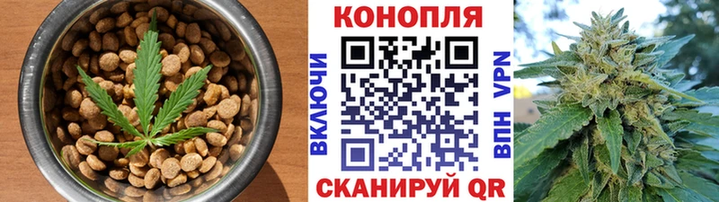 продажа наркотиков  Магас  Еда ТГК марихуана 