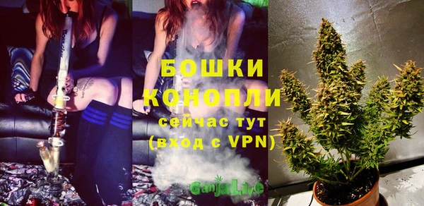 гидропоника Рославль