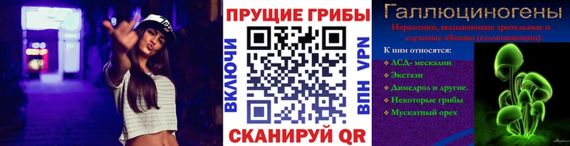 Галлюциногенные грибы Cubensis  закладки  Магас 